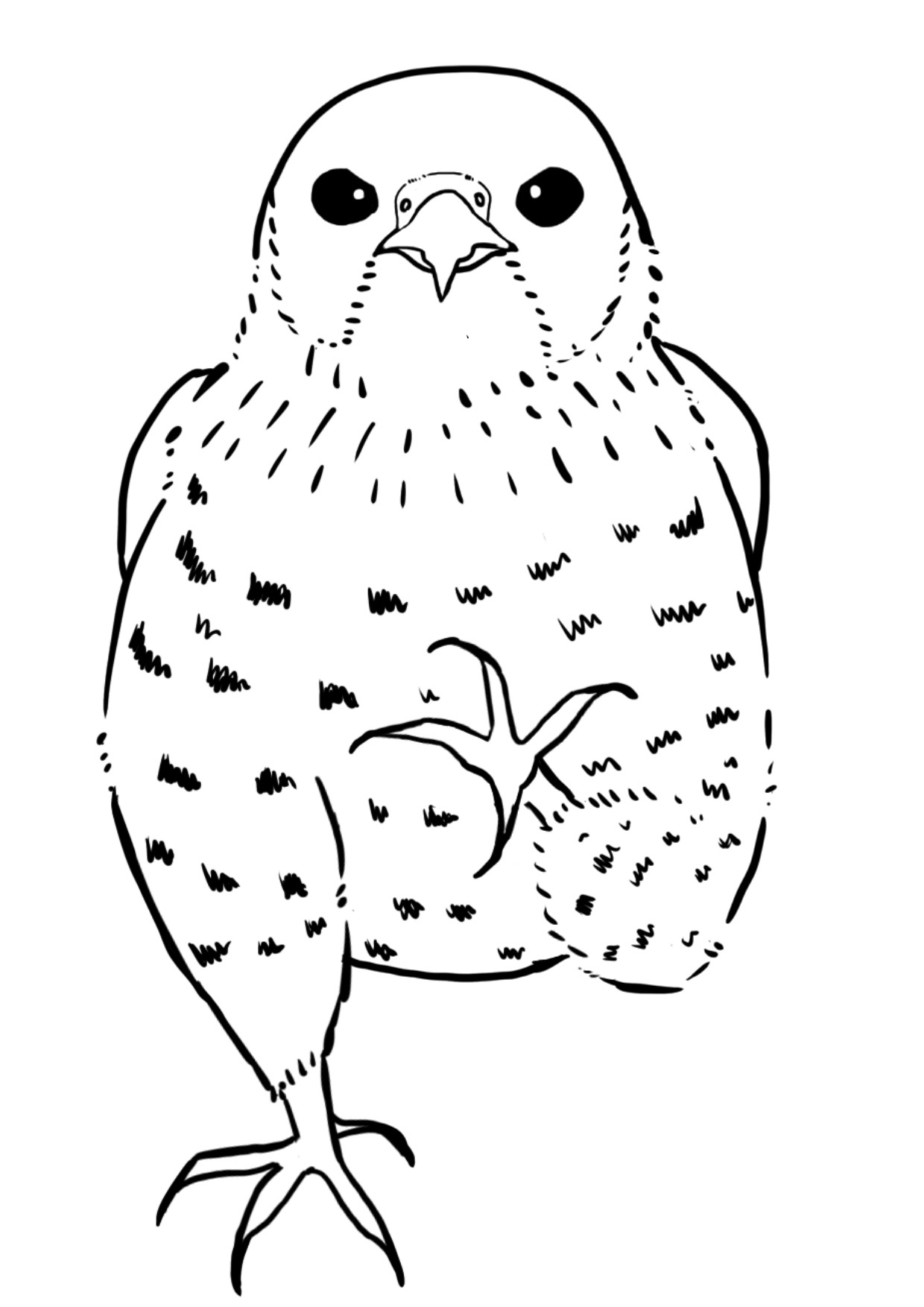 ハヤブサの白黒イラスト。左足を挙げて正面に突き出し、片足で立っている。