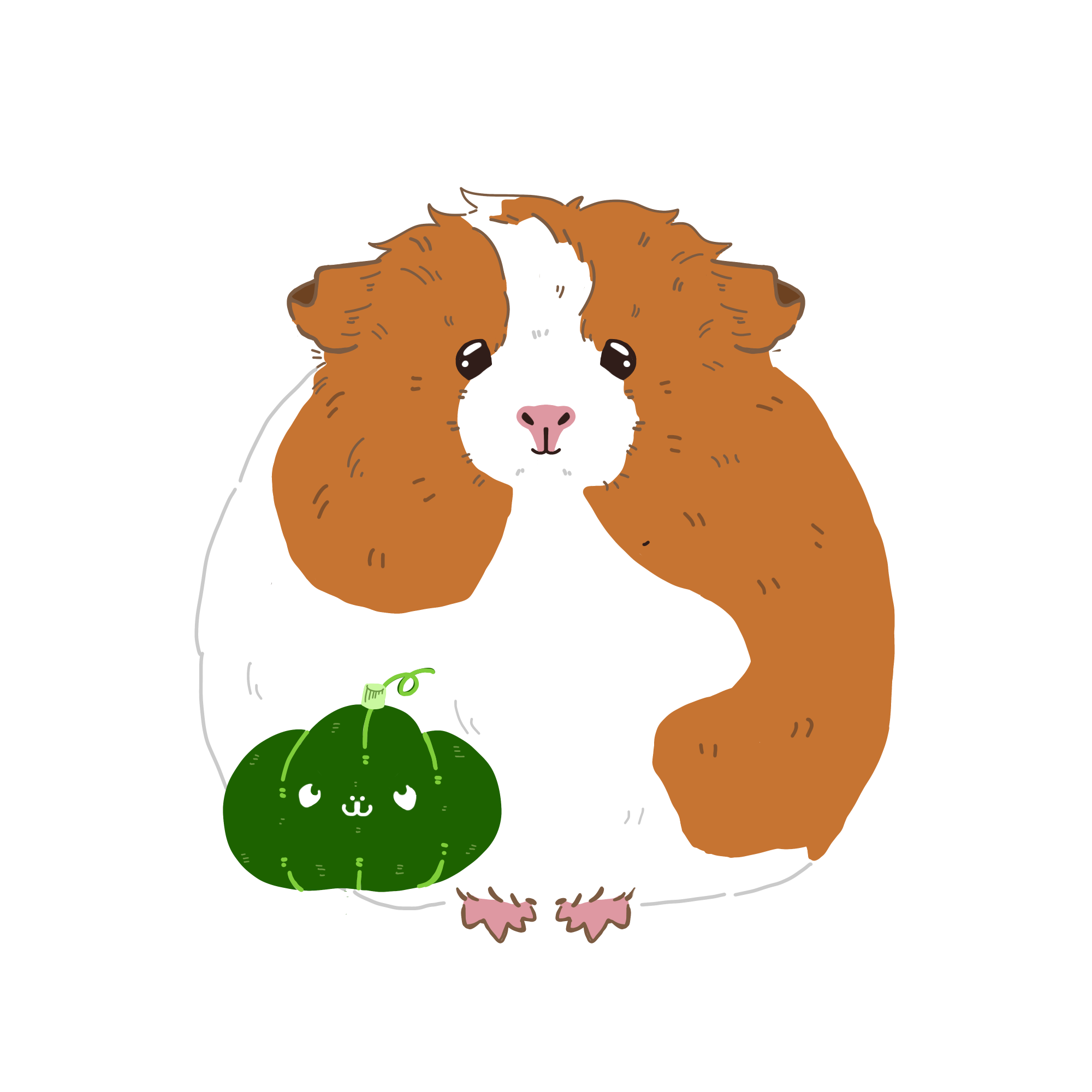 モルモットのカボチャイラスト（カラー）