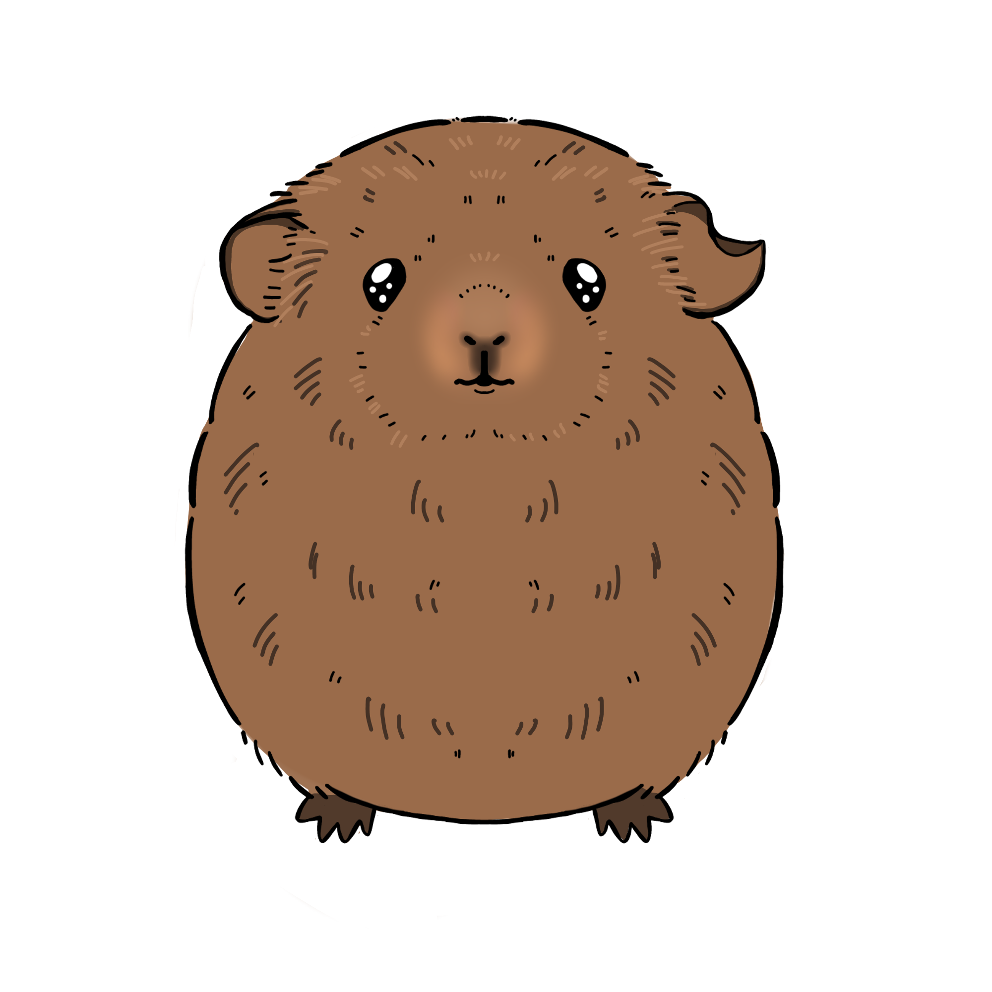 モルモットのキャメルのカラーイラスト