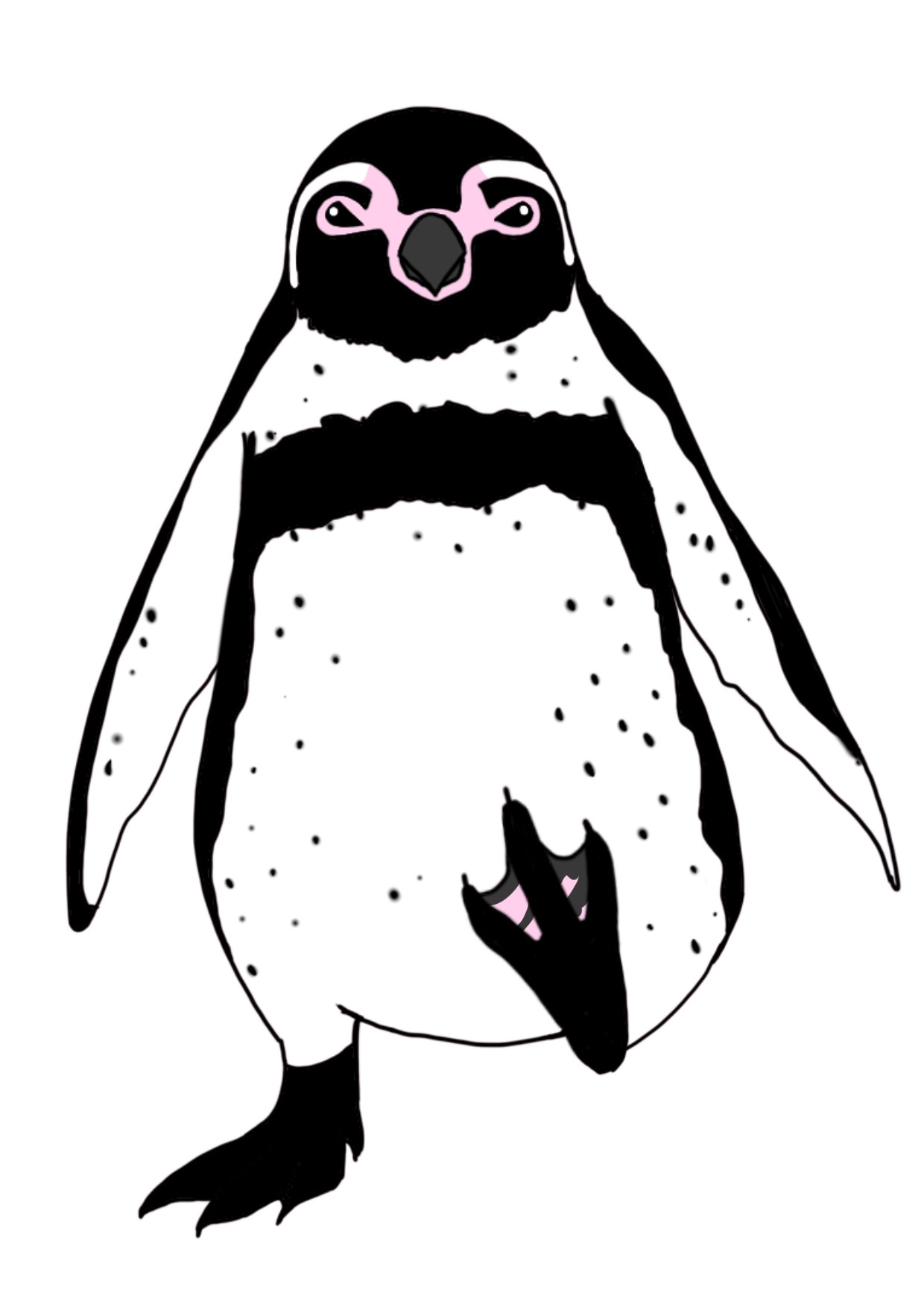 フンボルトペンギンが左足をあげて、片足で立つカラーイラスト