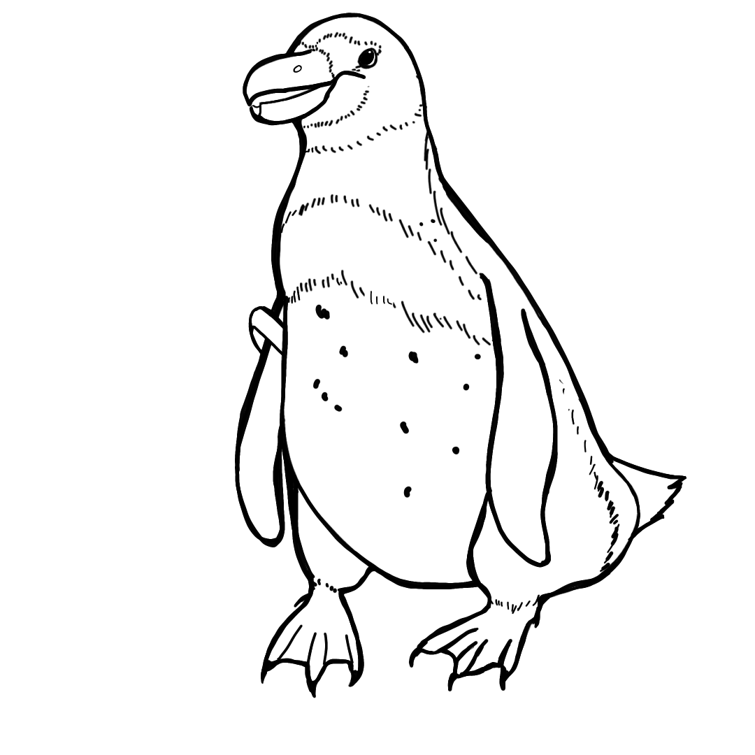 フンボルトペンギン、羽をだらりと下げげている白黒イラスト
