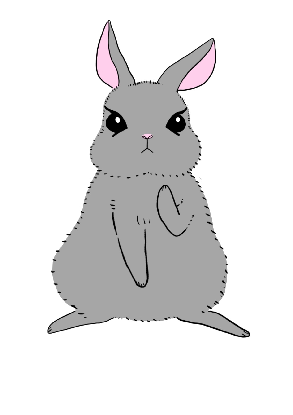 カイウサギのカラーイラスト