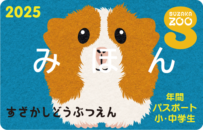 2025年度代表動物のモルモットのかぼちゃがデザインされた年間パスポートの画像、小中学生用は背景が青色