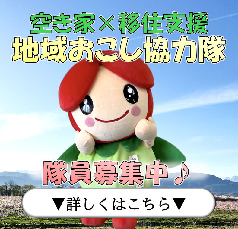2026年度地域おこし協力隊募集