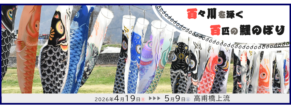 百々川に100匹を超える鯉のぼりがかかる写真。鯉のぼりが見れる期間ページへリンクします