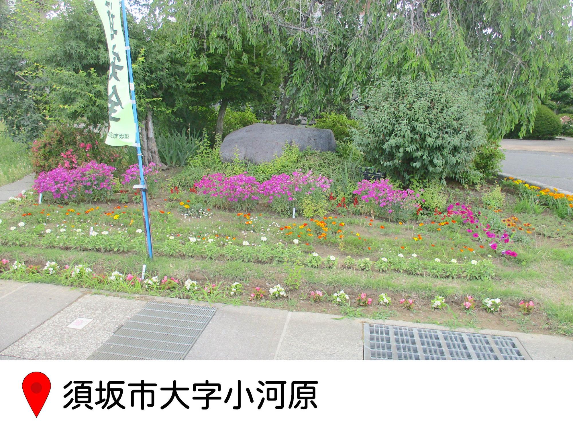 大字小河原地籍の花壇の写真
