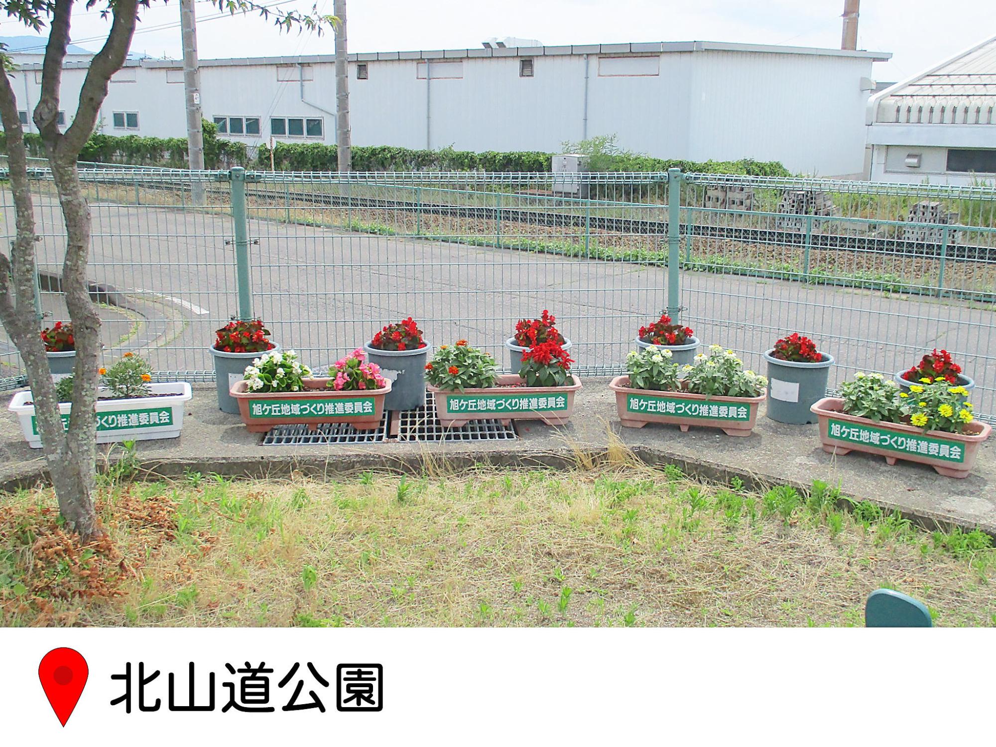 旭ケ丘町の北山道公園に置かれたプランター花壇の写真。マリーゴールドやサルビア、ゼラニウなどが上らえている。