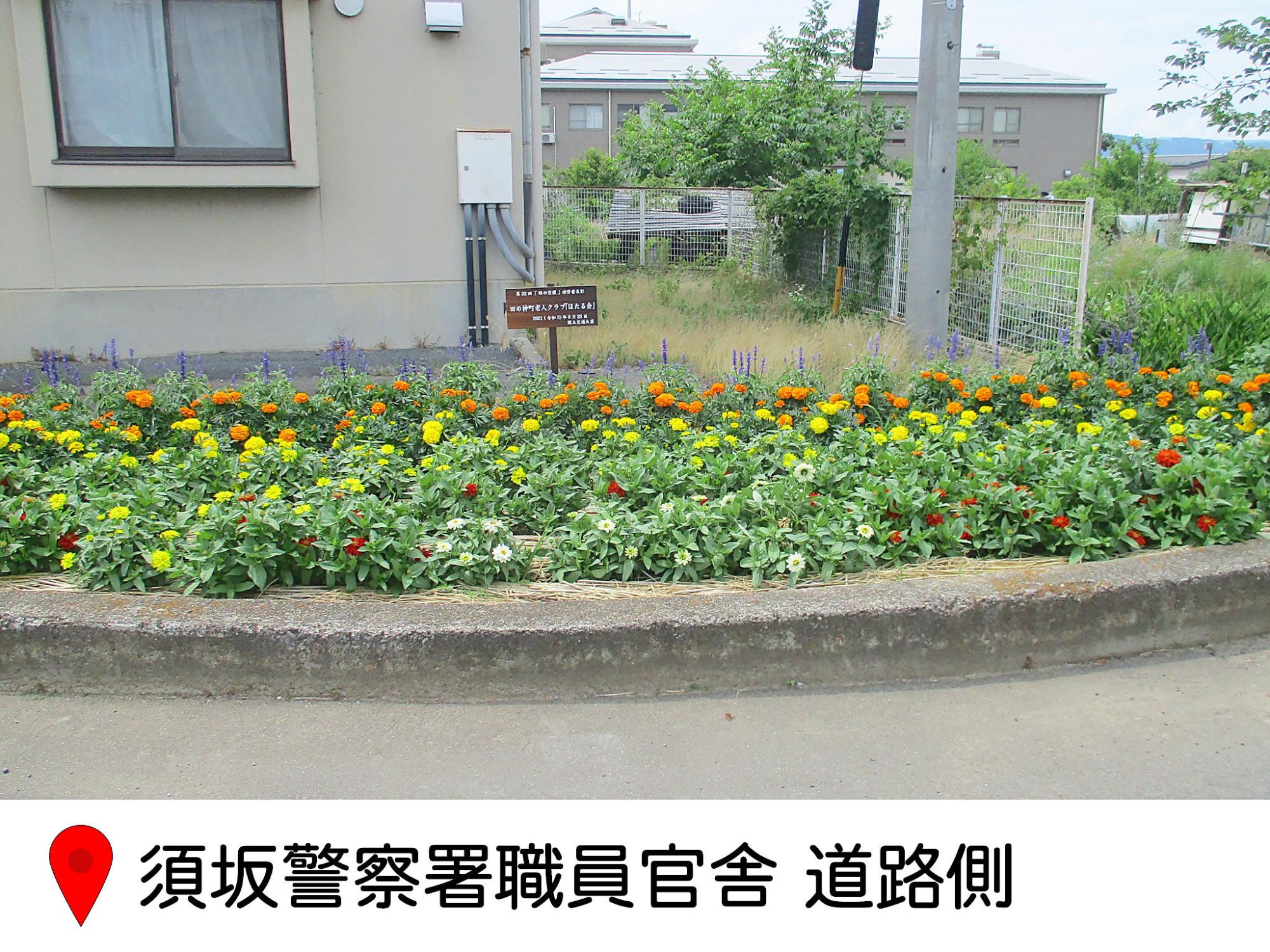 須坂警察署職員感謝横の花壇の写真。