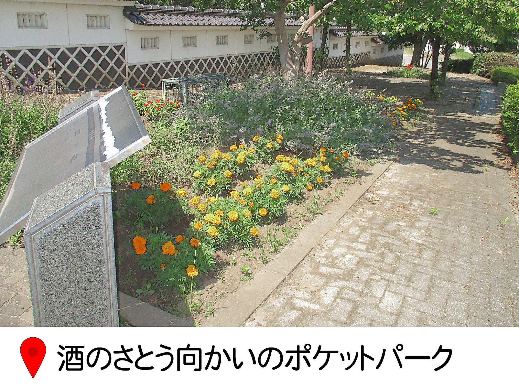 酒のさとうの向かい側、ポケットパークの花壇の写真。