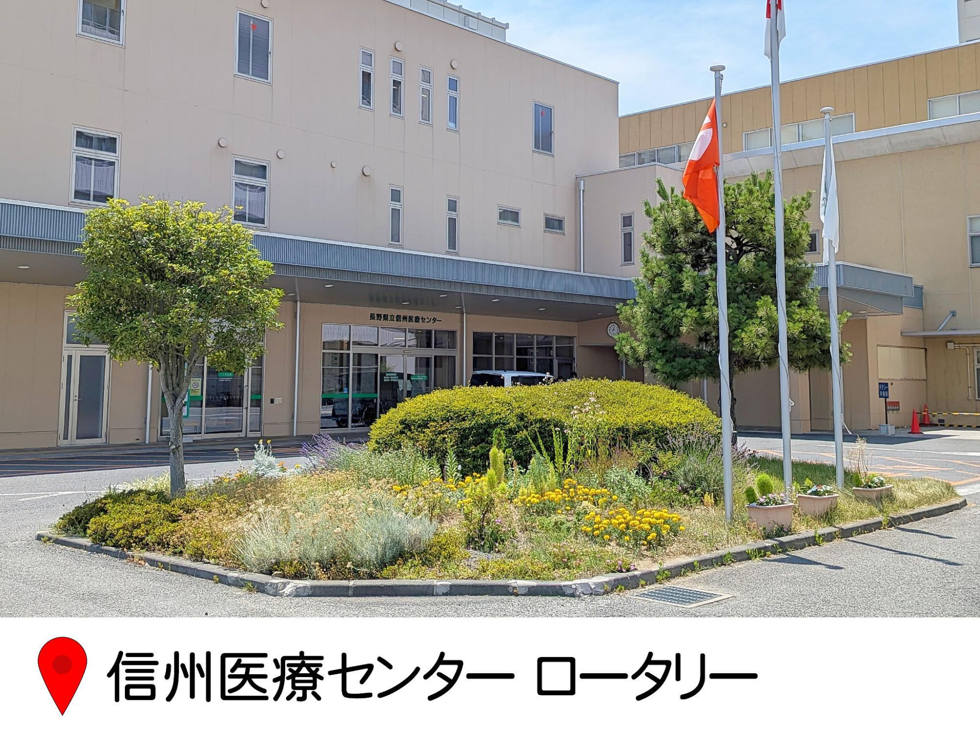 信州医療センターのロータリー中央花壇の写真