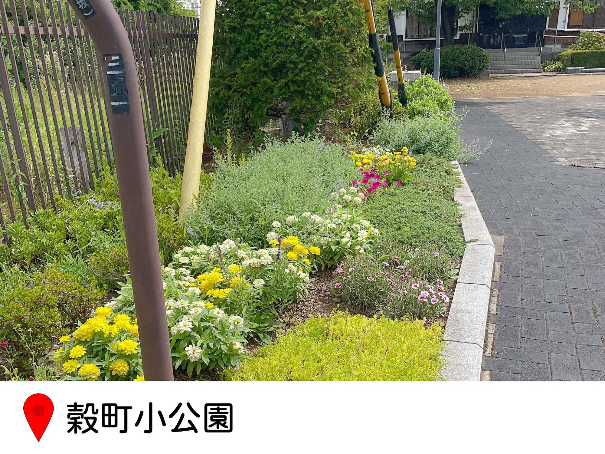 こく町小公園の花壇写真