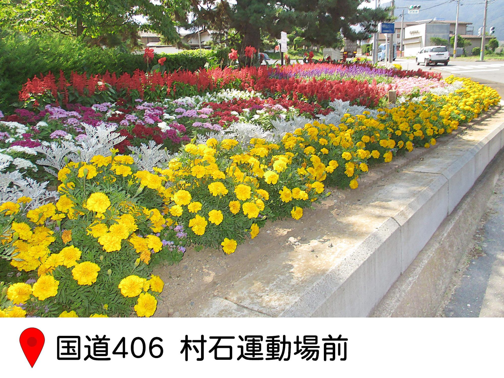 国道406、村石運動場横の花壇の写真