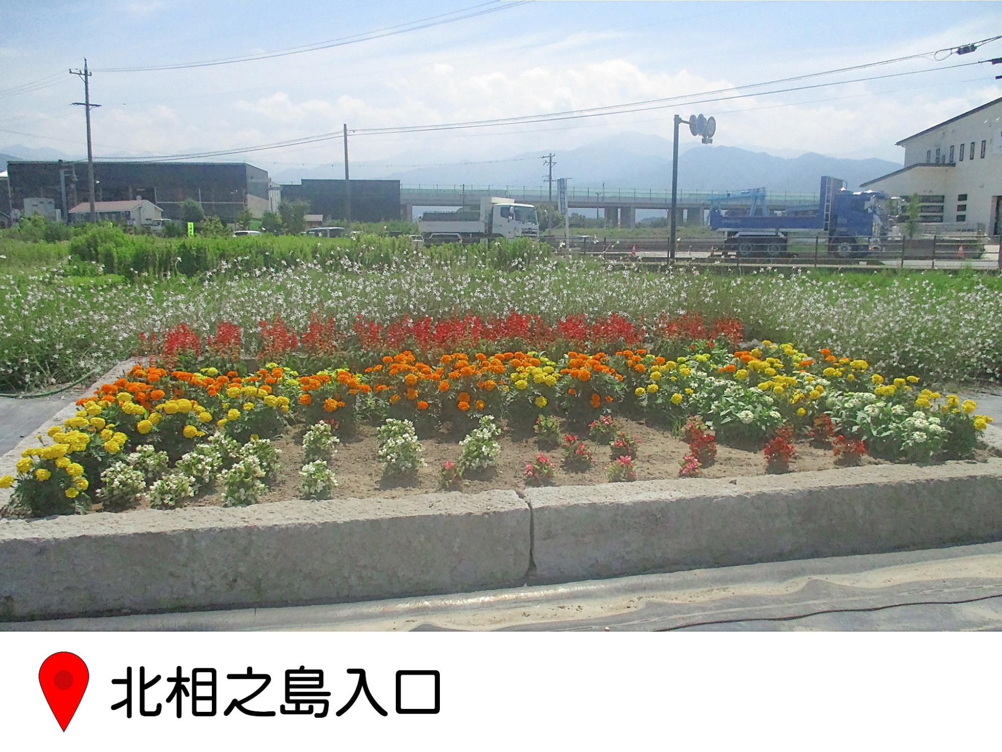 北相之島入り口横の花壇の写真