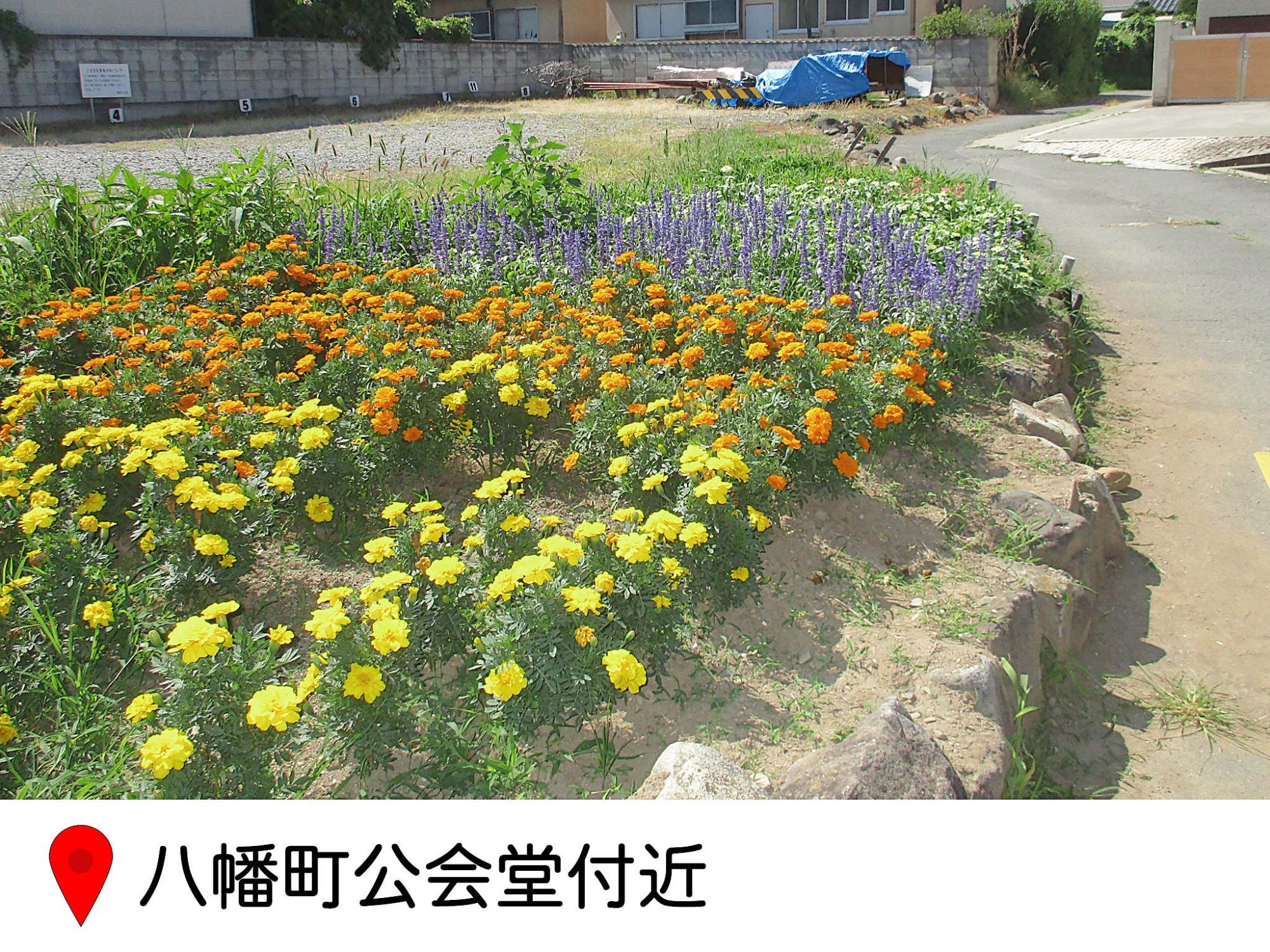 はちまん町公会堂付近の花壇の写真