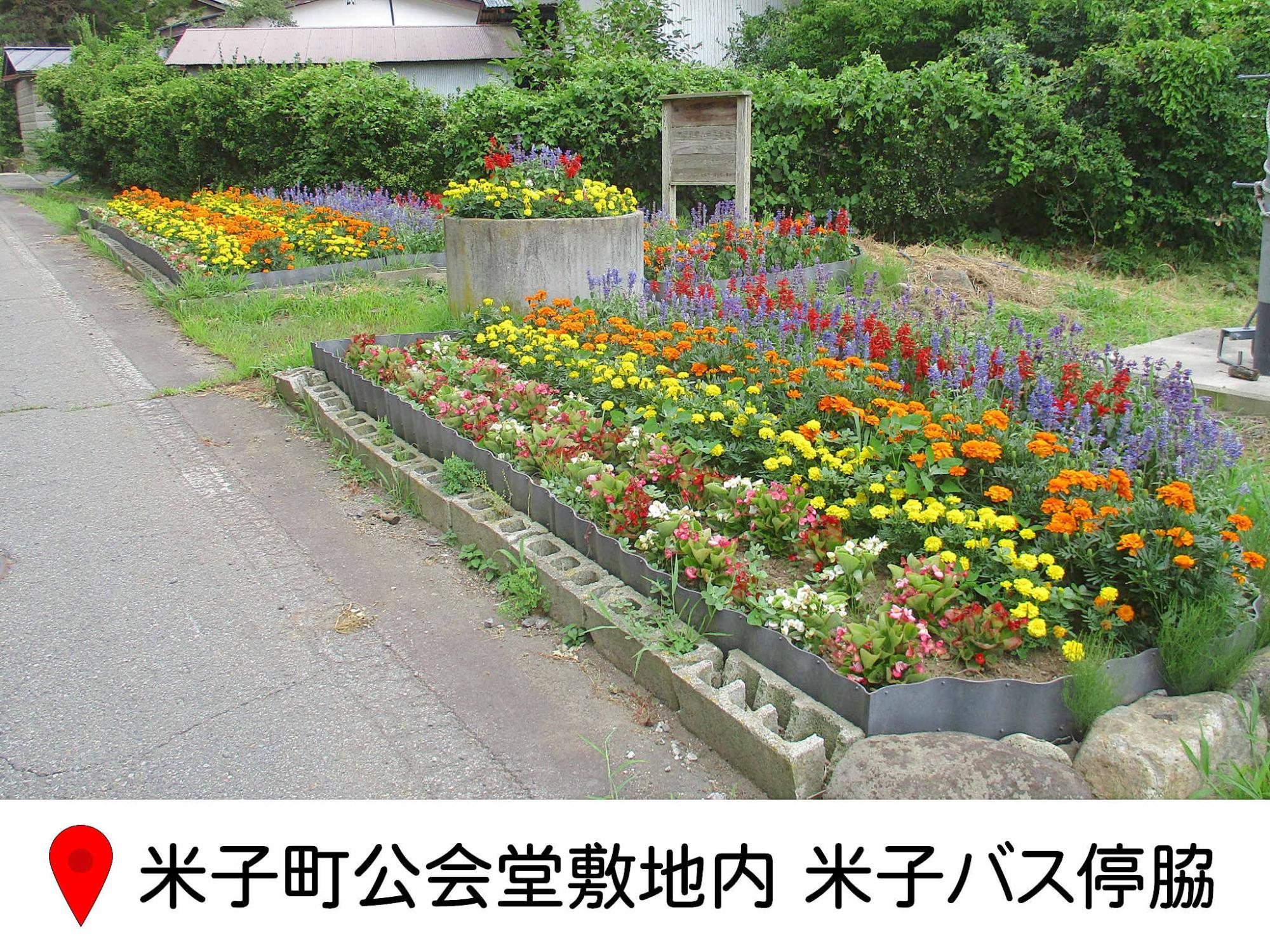 米子町公会堂敷地内のバス停脇の花壇の写真
