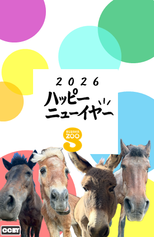 2026年年賀状たて型画像。画面下3分の1くらいに3匹のポニーと1匹のロバが正面をむき、ドアップ。背景はビビットカラーの大きな水玉模様。中心に、四角い空白があり、2026ハッピーニューイヤーと書かれている。