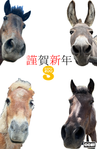 2026年年賀状たて型画像。画面中心に謹賀新年とかかれている。背景は白無地で、画面の四隅にポニー、ロバが大きく顔をのぞかせる。