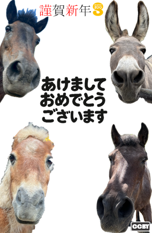 2026年年賀状たて型画像。画面中心に「あけましておめでとうございます」とかかれている。背景は白無地で、画面の四隅にポニー、ロバが大きく顔をのぞかせる。