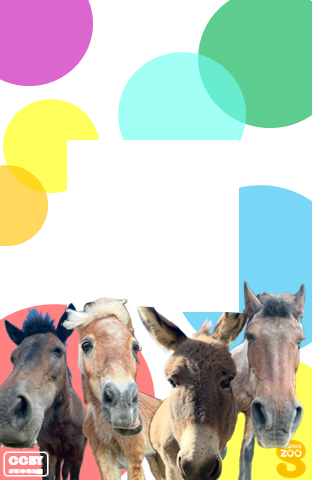 2026年年賀状たて型画像1枚目。