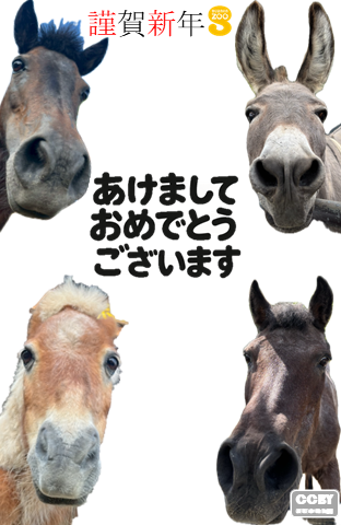 2026年年賀状たて型画像4枚目。