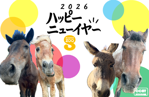 横向き年賀状 1枚目の画像。