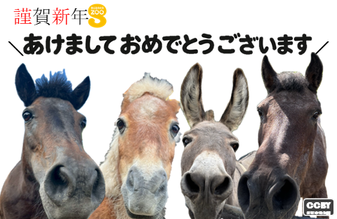 2026年横向年賀状画像3枚目。