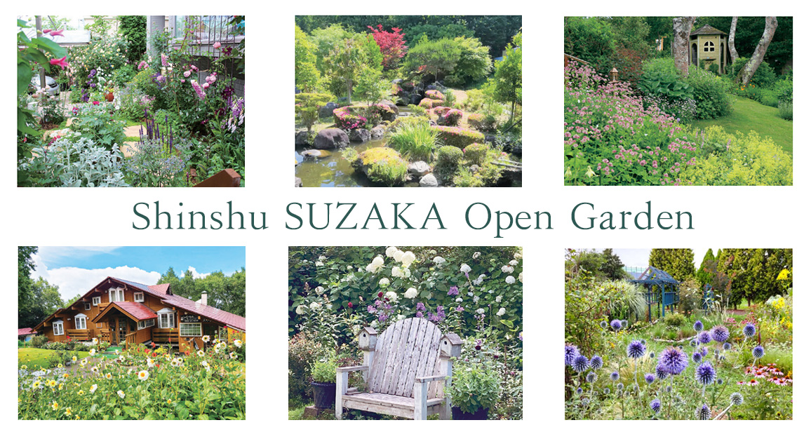 きれいに整備された色とりどりの花が植えられているオープンガーデン写真