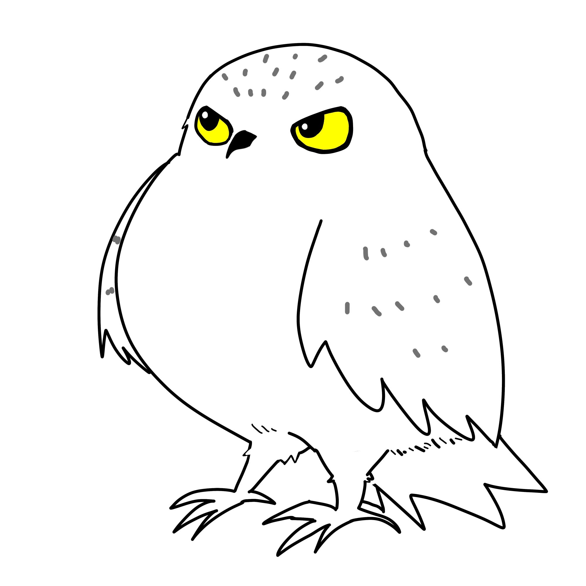 シロフクロウ、横向きカラーイラスト