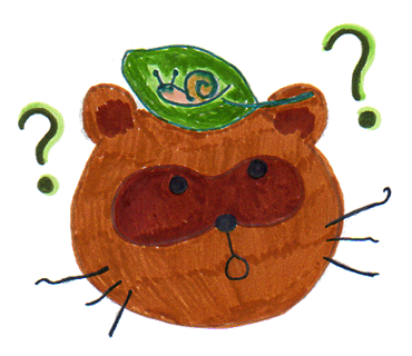 葉っぱに乗ったカタツムリが頭の上にのって不思議艘に見つめているタヌキのイラスト