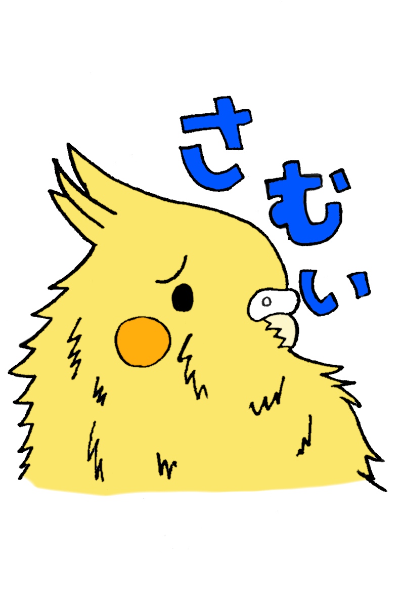 さむい 困り顔のオカメインコのイラスト