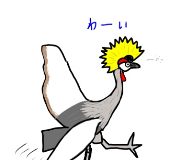 わーい 嬉しさに飛び跳ねているホオジロカンムリヅルのイラスト