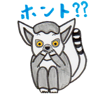 ホント？？ 両手を口にあてて驚いているワオキツネザルのイラスト