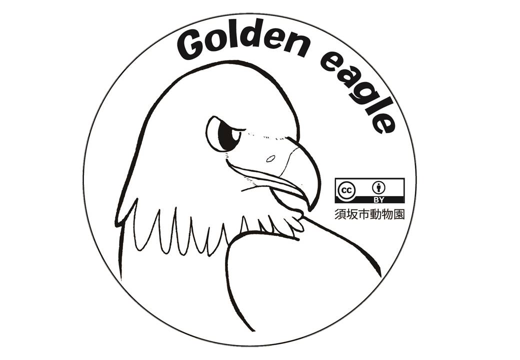 Golden eagle 右を向いたニホンイヌワシの白黒のイラスト