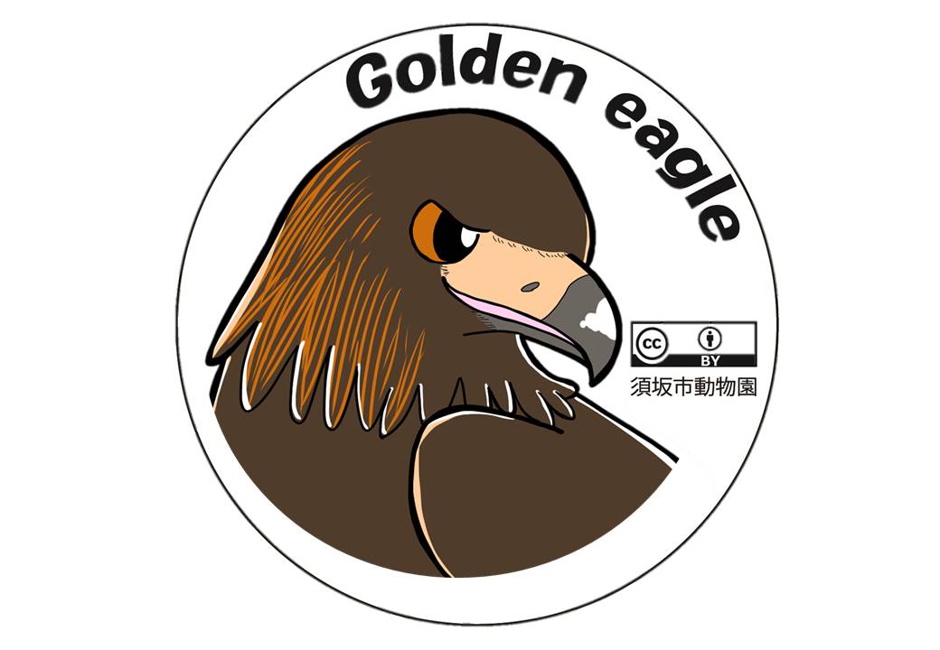 Golden eagle 右を向いたニホンイヌワシのイラスト