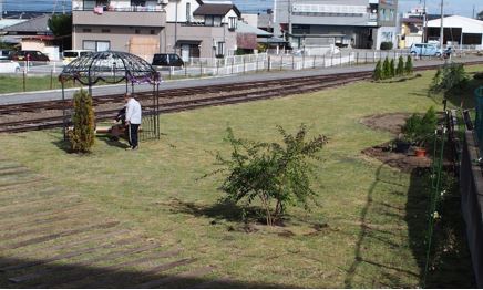 緑の芝が貼られきれいに整備、みんなで作り上げた公園の写真