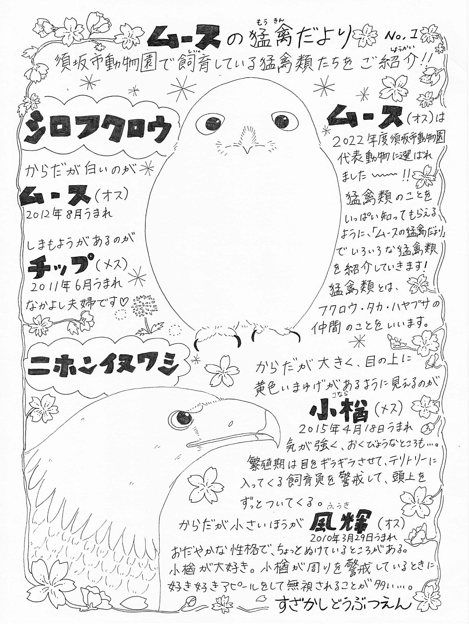 シマフクロウとニホンイヌワシの特徴とイラストが描かれたムースの猛禽だよりナンバー1