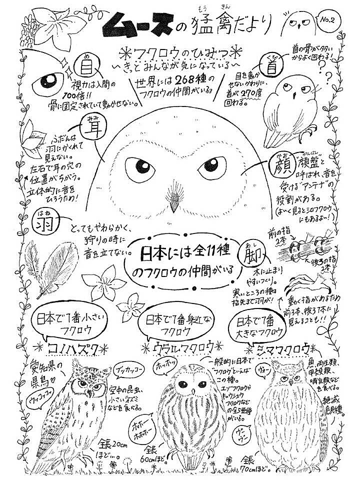フクロウのひみつなど特徴や色々なフクロウのイラストが描かれたムースの猛禽だより ナンバー2