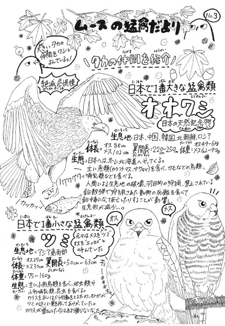 タカの仲間の鳥のイラストが描かれたムースの猛禽だよりナンバー3