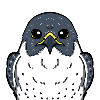 ハヤブサのぜんカラーイラスト