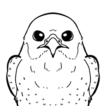 ハヤブサのぜん白黒画像