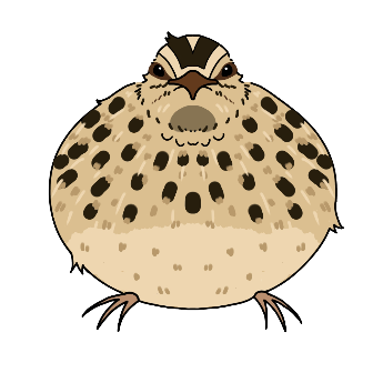 うずらのカラーイラスト。まん丸。