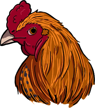 信州黄金シャモのカラーイラスト