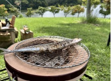 炭火の七輪でサンマを焼いている。