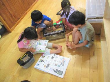 北旭ケ丘保育園の園舎内の廊下で、4人の園児が生き物の入った水槽3つと図鑑2冊を広げ観察をしている様子。