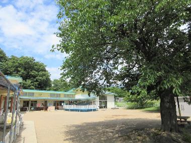 高甫保育園の玄関を入るとすぐ右側に大きな桜の木があり、初夏の撮影時は大きな日陰をつくっています。さらに奥には以上児の保育室が見えます。