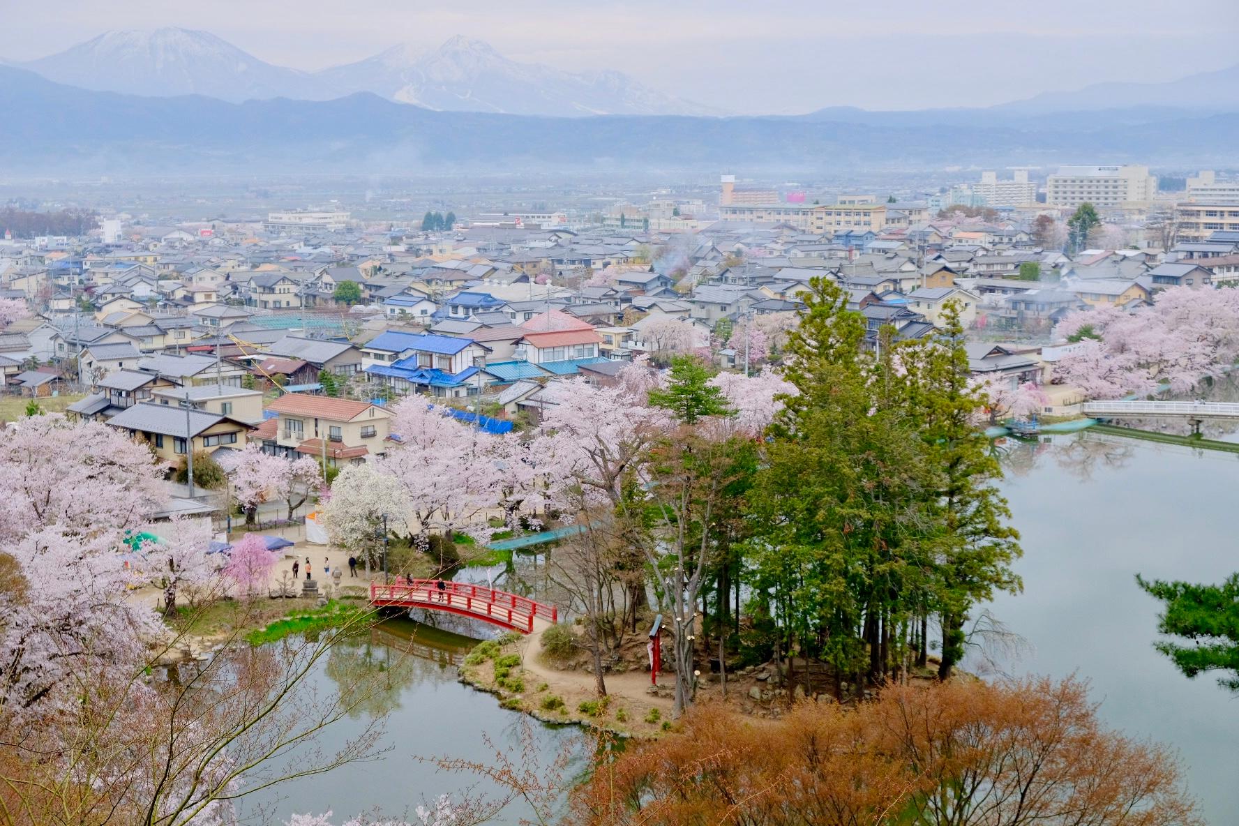 春、桜が緩解の臥竜公園、池の弁天島を俯瞰した写真