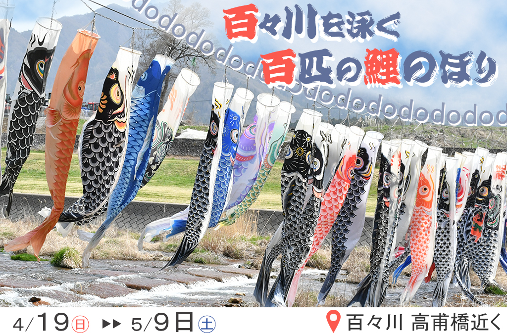 川の上空を、イロトリドリのこいのぼりが風にたなびいいている写真