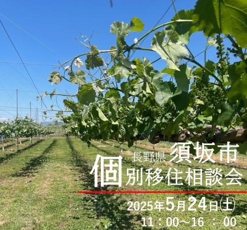 0524個別移住相談会バナー。初夏のぶどう畑の様子