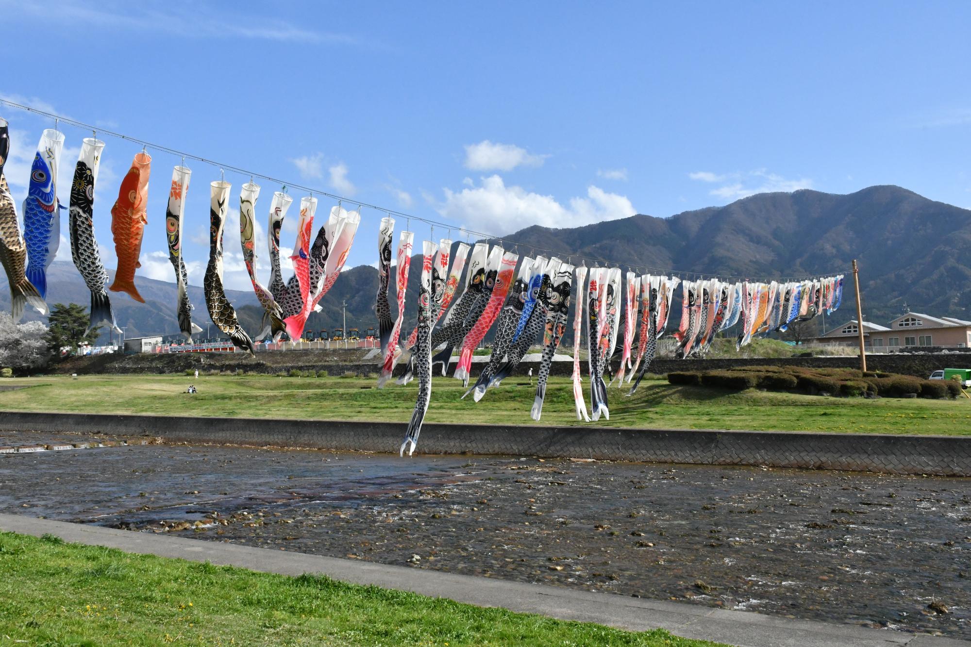 （イメージ）第21回 100匹の鯉のぼりが百々川に