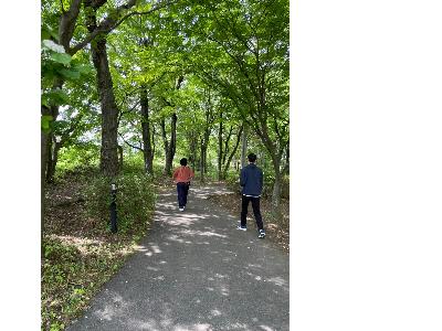 アートパークの木立を歩く相談者様2名の後ろ姿